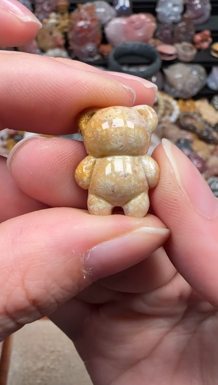 颈饰未镶嵌硅化珊瑚（珊瑚玉）081