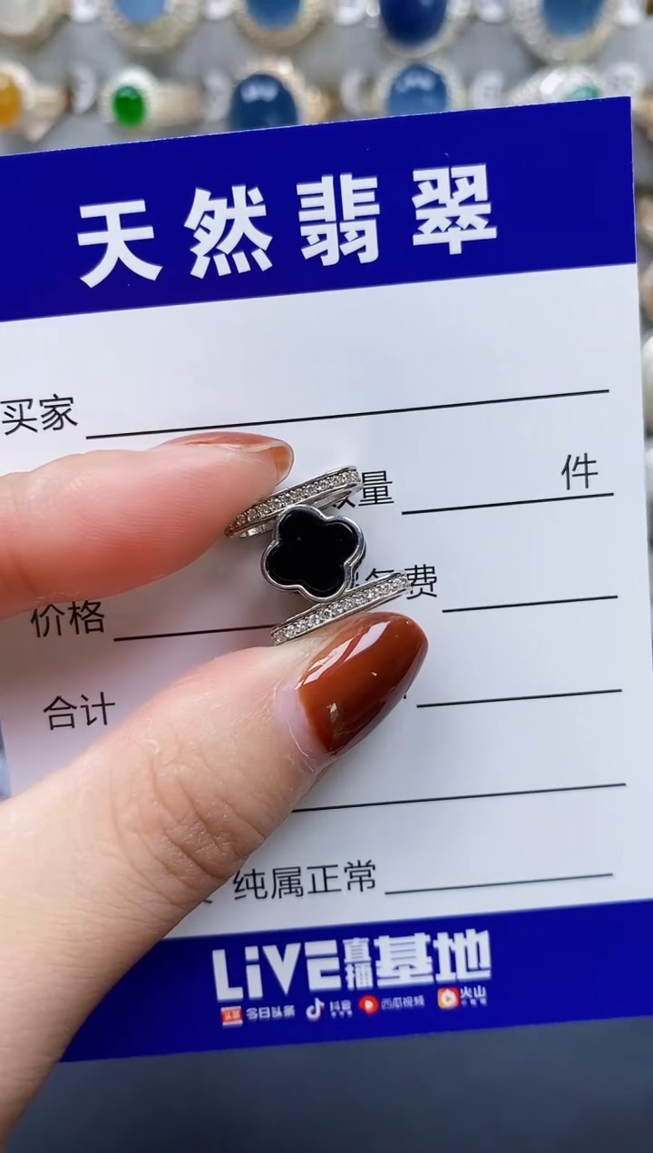 翡翠银S925镶嵌颈饰179