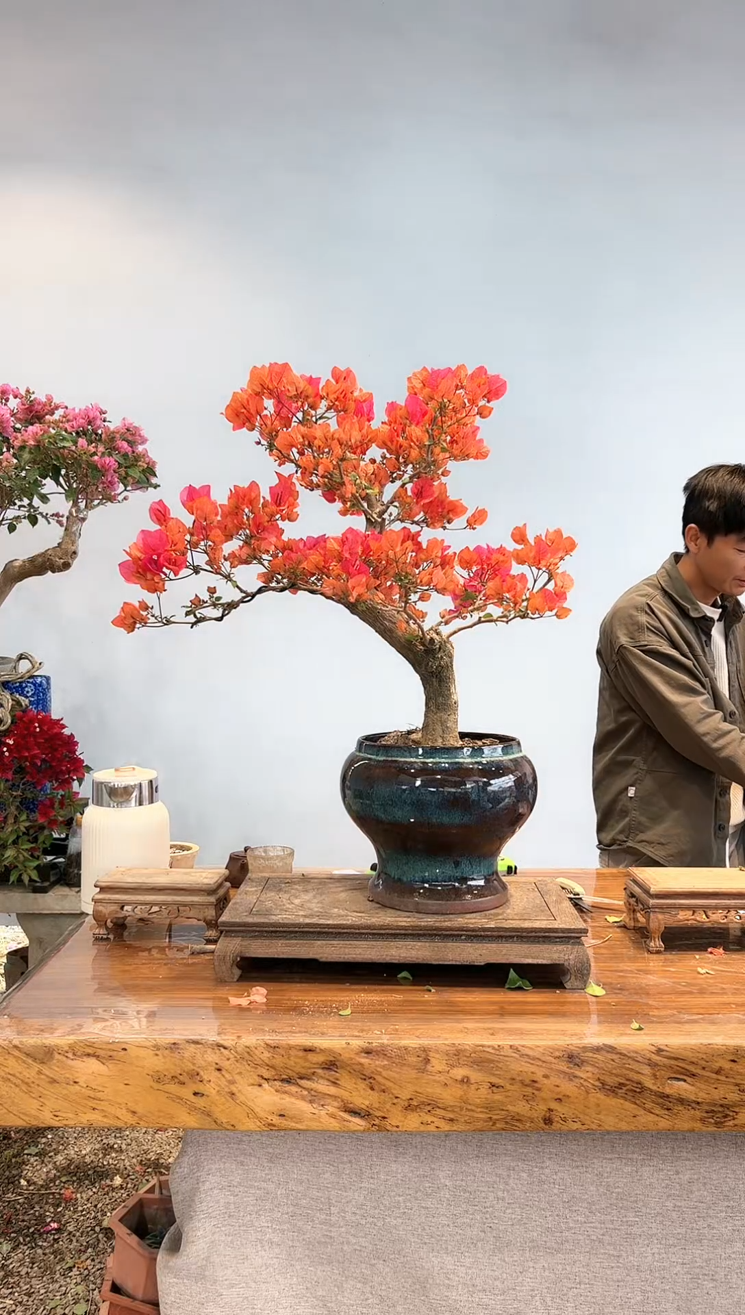 【闪购商品】AAN922