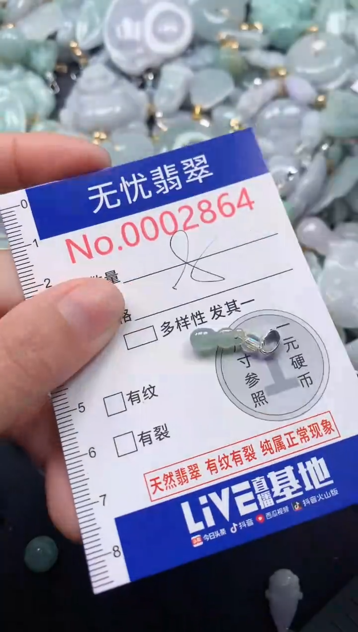 颈饰未镶嵌翡翠2864