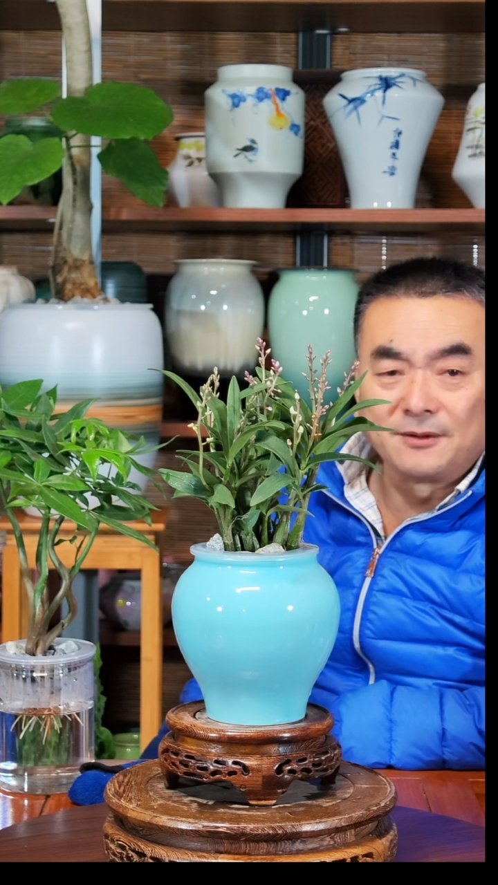 无花朵用****9水之韵水培石斛