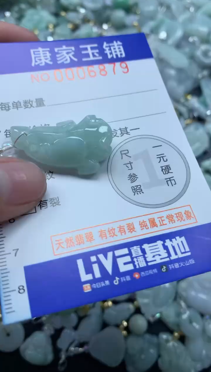 颈饰未镶嵌翡翠6879