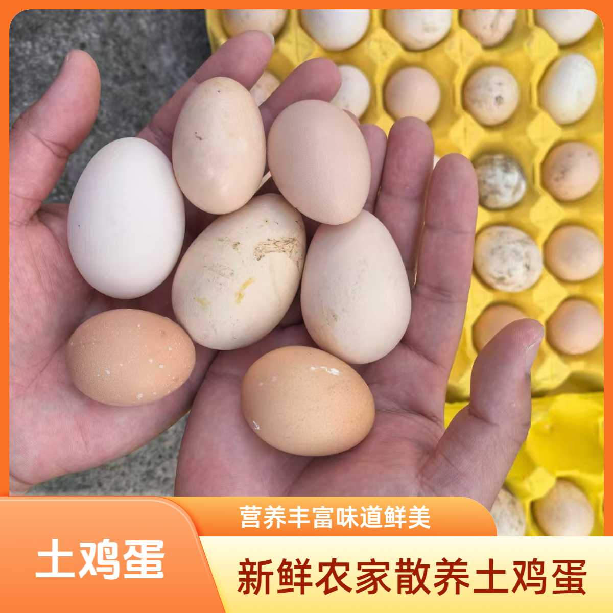 当天生当天送到家的新鲜土鸡蛋无激素土鸡蛋