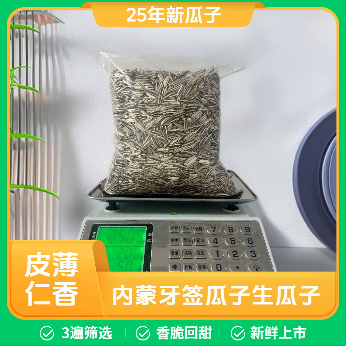 25年新瓜子内蒙牙签熊猫生瓜子（非人工挑选，含少量杂粒）