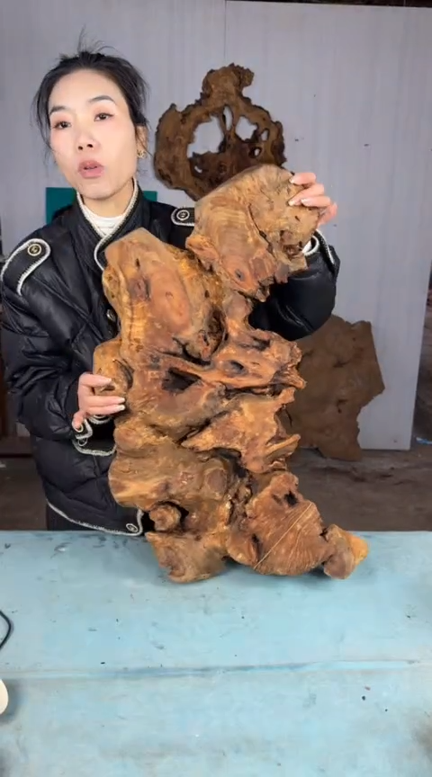 【闪购商品】香杉木木艺杉木瘤随型【原料】033