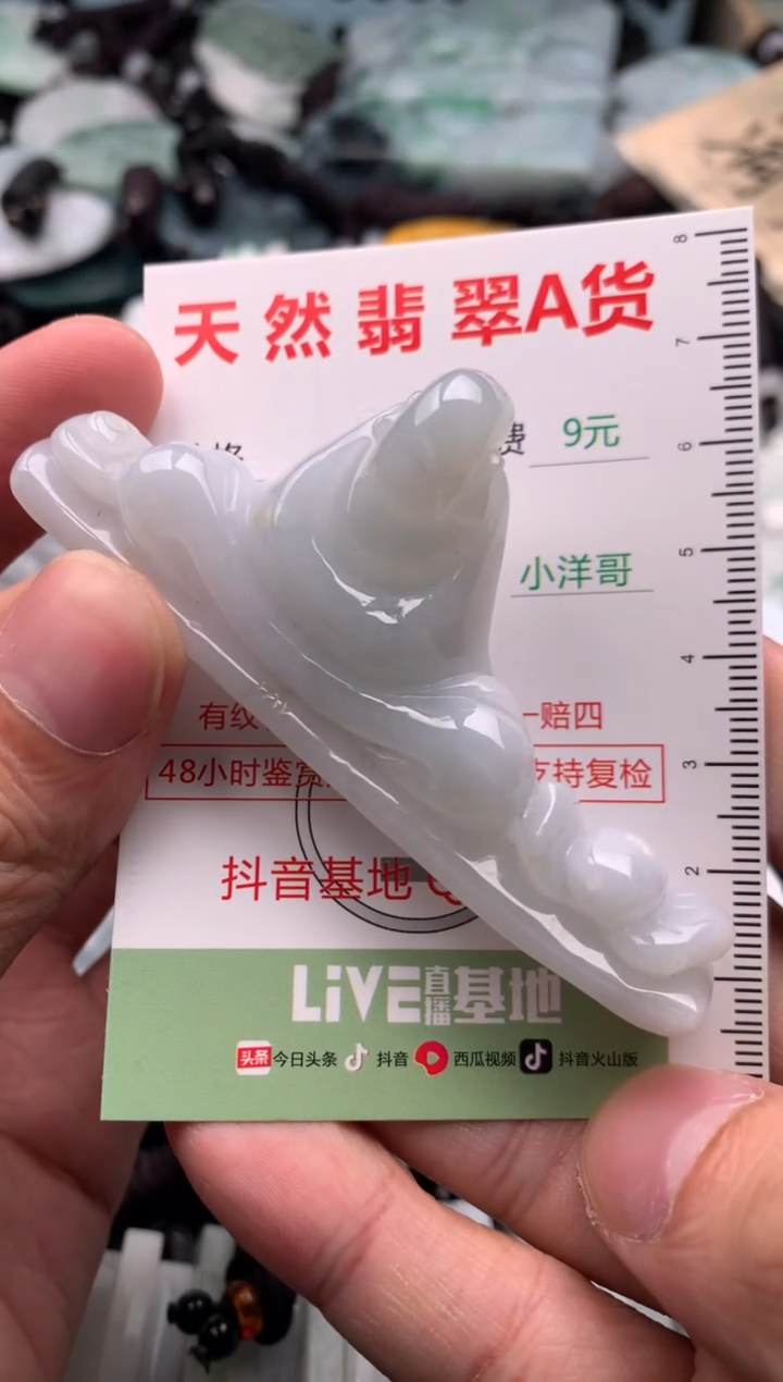 翡翠未镶嵌吊坠(不含链)1
