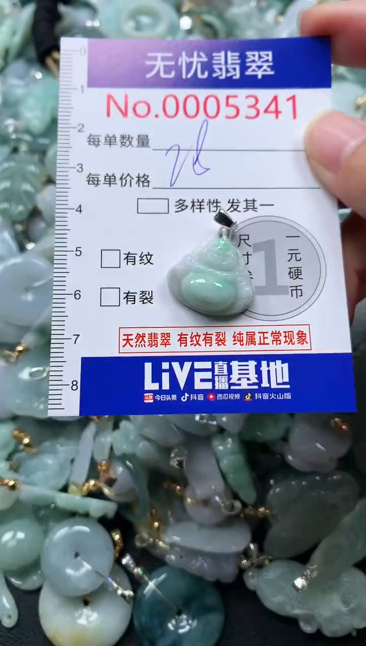 颈饰未镶嵌翡翠5341