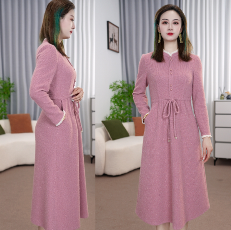 DL-A065 时尚百搭减龄礼服裙2025秋冬季新款修身裙子 裙子秋冬款