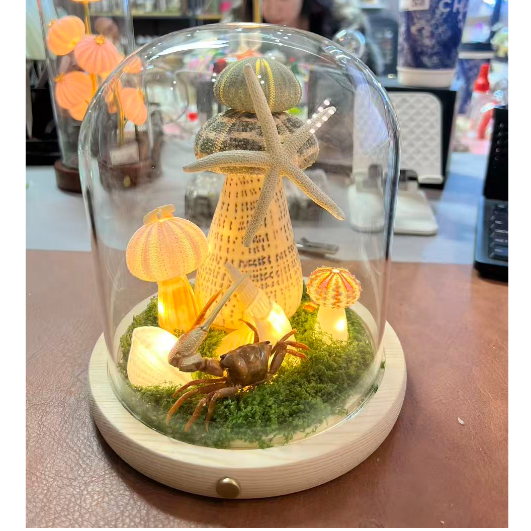 网红爆款玻璃罩ins风创意贝壳手工diy海胆壳小夜灯情侣节日礼物