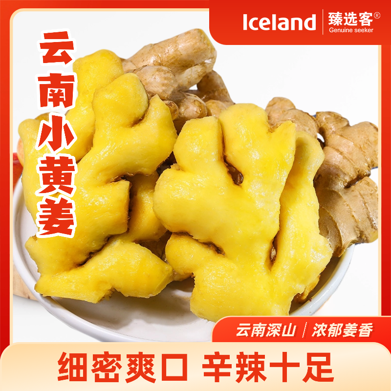 【Iceland臻选客】云南小黄姜姜撞奶姜茶姜泡菜新鲜滇东南深山产区