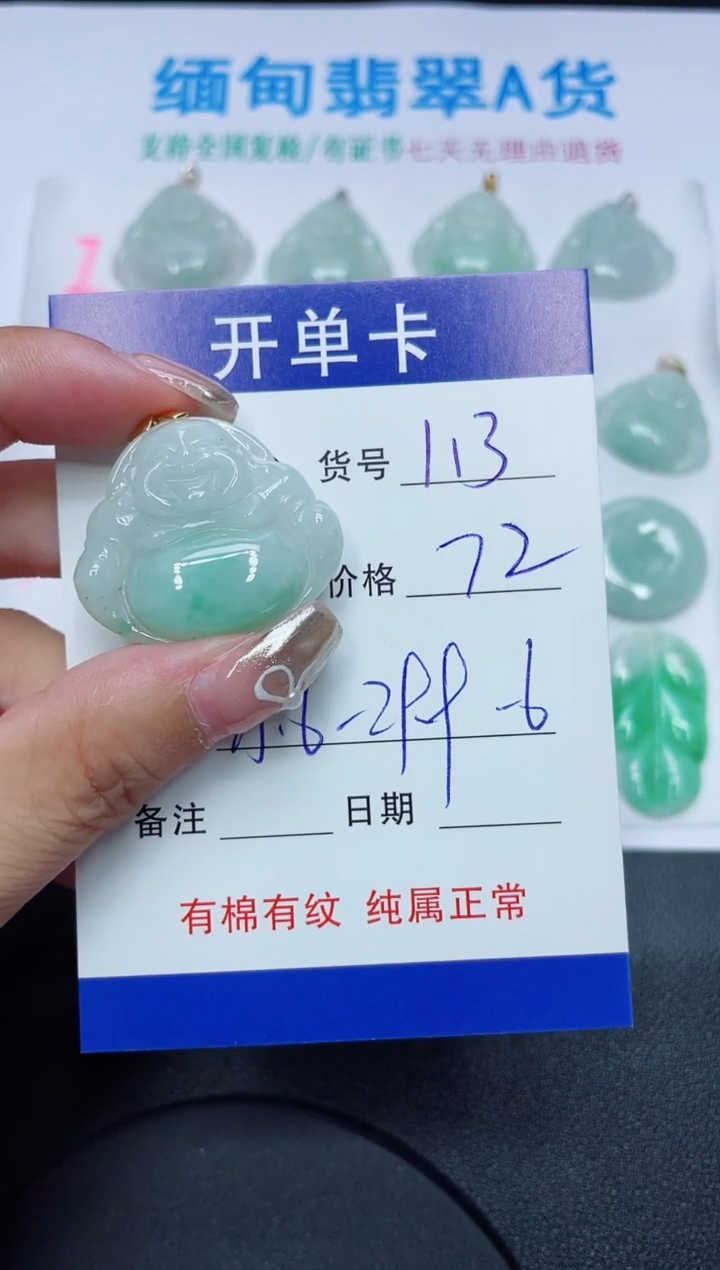 翡翠未镶嵌吊坠(赠链)113