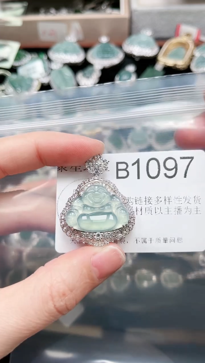 【闪购商品】翡翠颈饰未镶嵌赠皮绳1097
