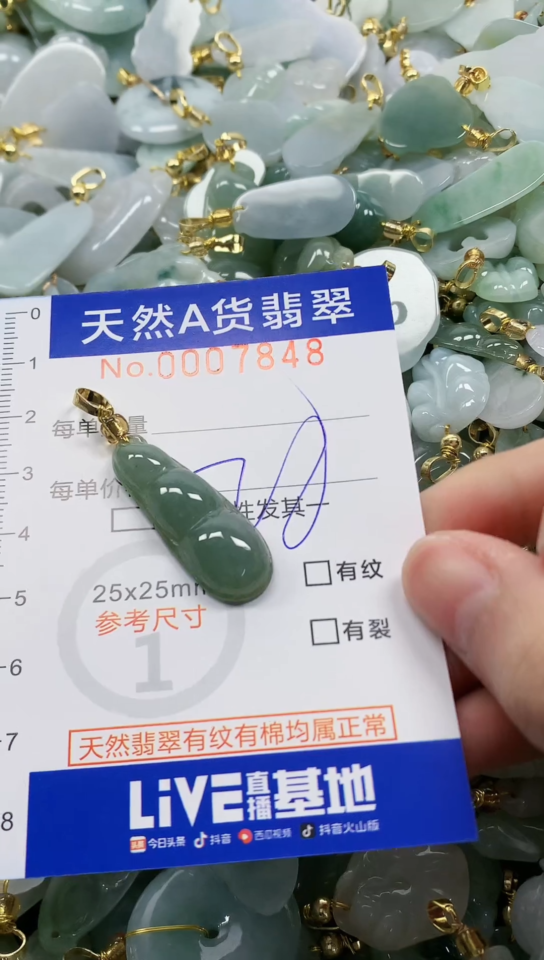 颈饰未镶嵌翡翠纯天然a货翡翠