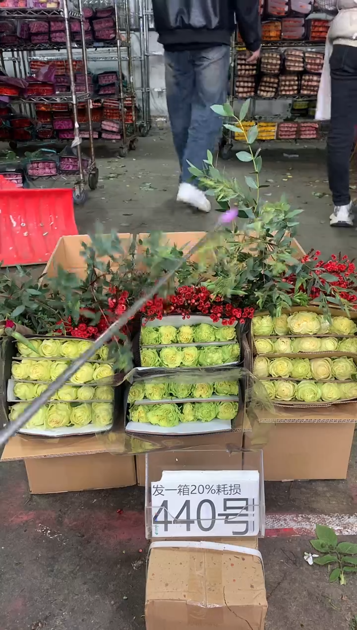 440号♥中通含20%耗损发一箱鲜花