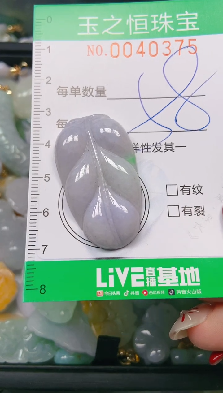 【闪购商品】翡翠颈饰未镶嵌闪购0040375
