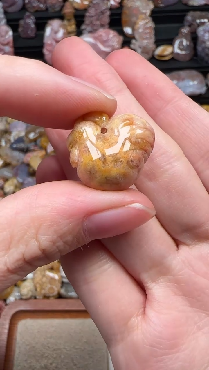 颈饰未镶嵌硅化珊瑚（珊瑚玉）278