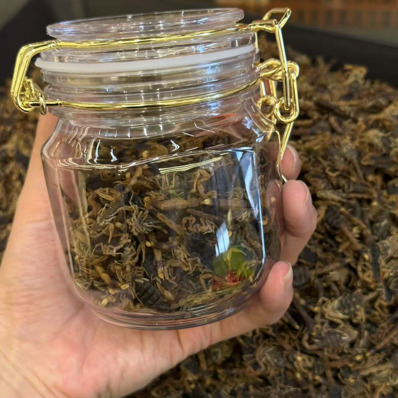 虫虫 虫曷子 搭配土茯苓 河南产地