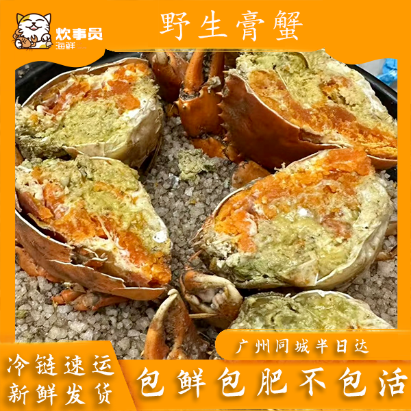 五只鲜活膏蟹母蟹3-4两/只 鲜活海蟹包鲜不包活 别放冰箱