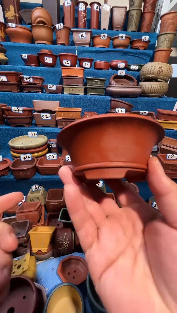 【闪购商品】紫砂紫砂花盆9*4.5