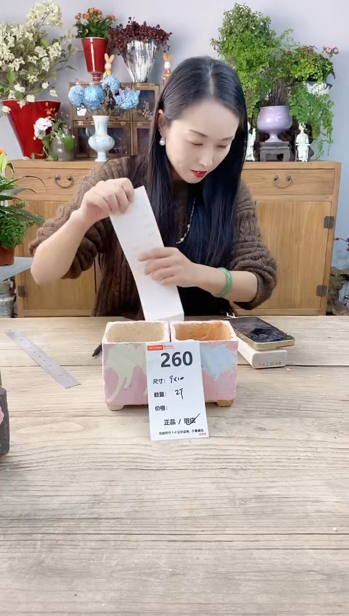 小玩子花盆直播号260