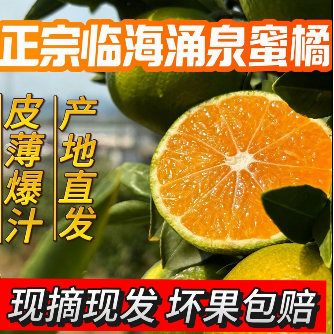 临海涌泉蜜桔 3 斤尝鲜装皮薄肉厚超划算浙江省