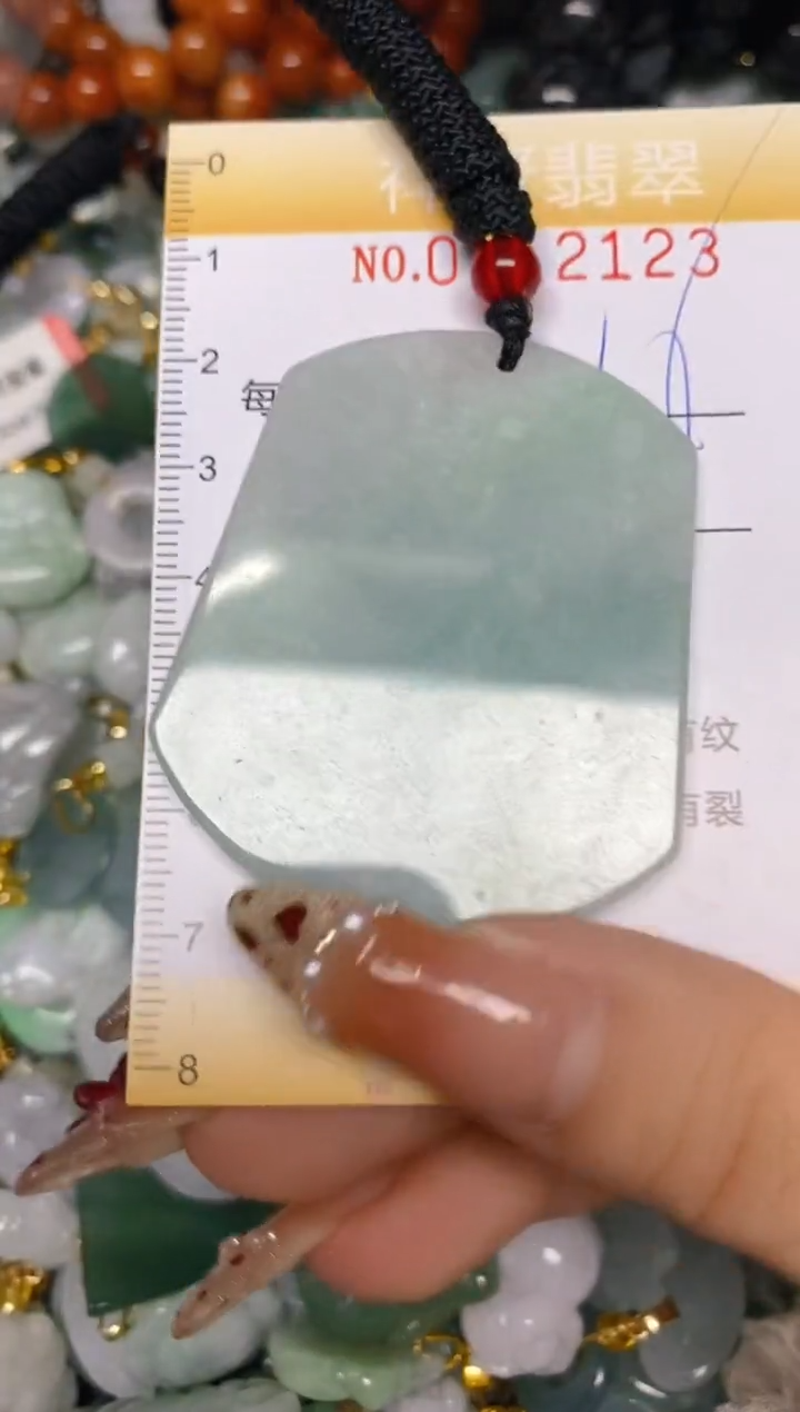 【闪购商品】翡翠颈饰未镶嵌闪购0112123
