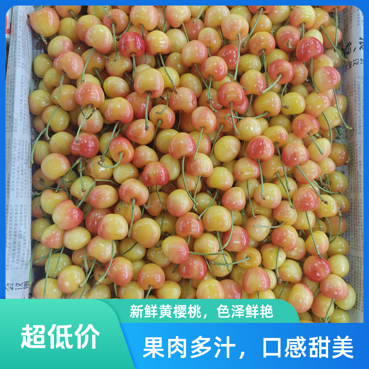 雷尼尔樱桃，J净1.5斤新鲜水果雷尼尔樱桃