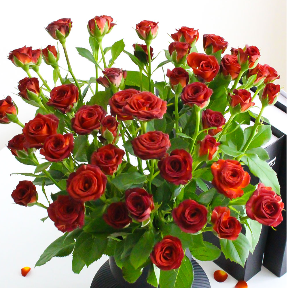 花無凡【巧克力泡泡多头玫瑰10支】【3单送配草，5单送配花】