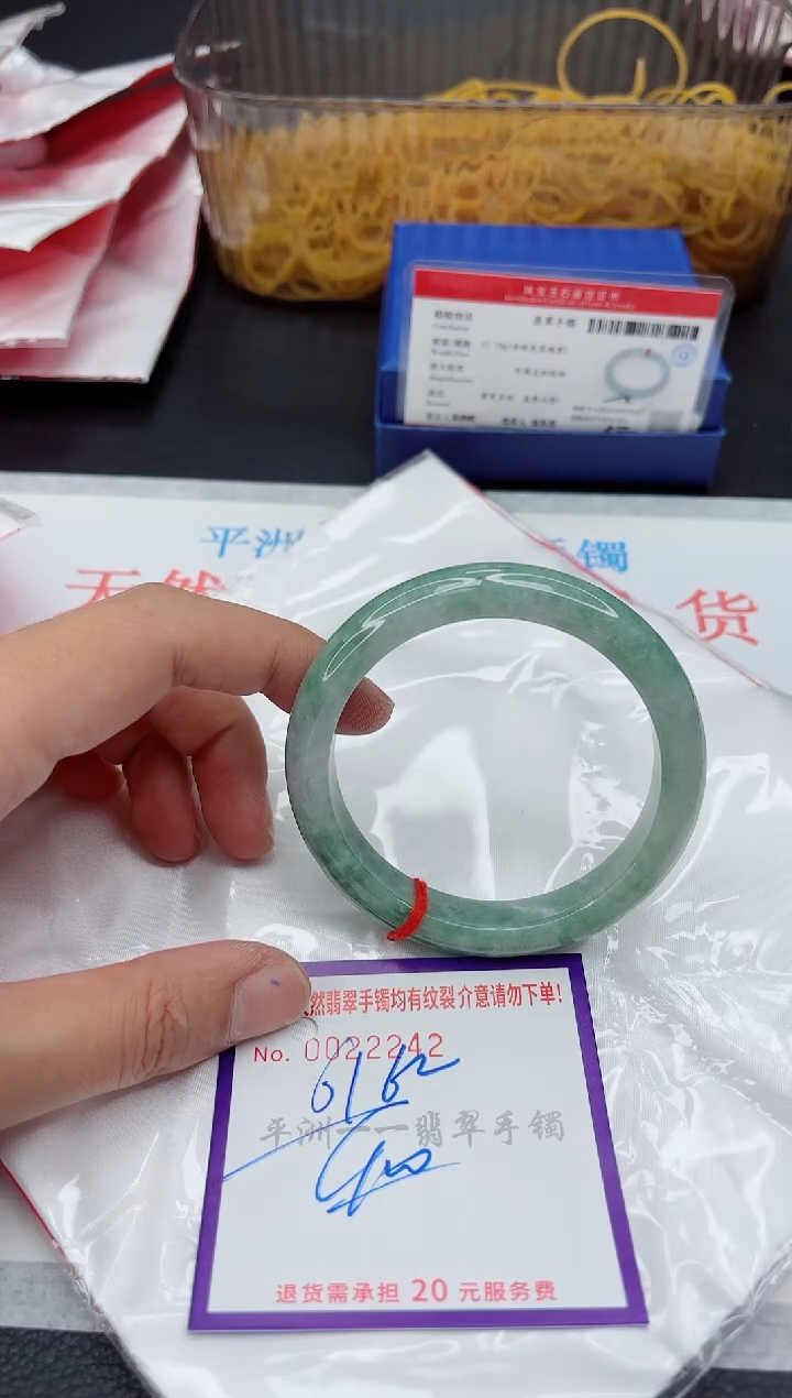 未镶嵌手镯翡翠1