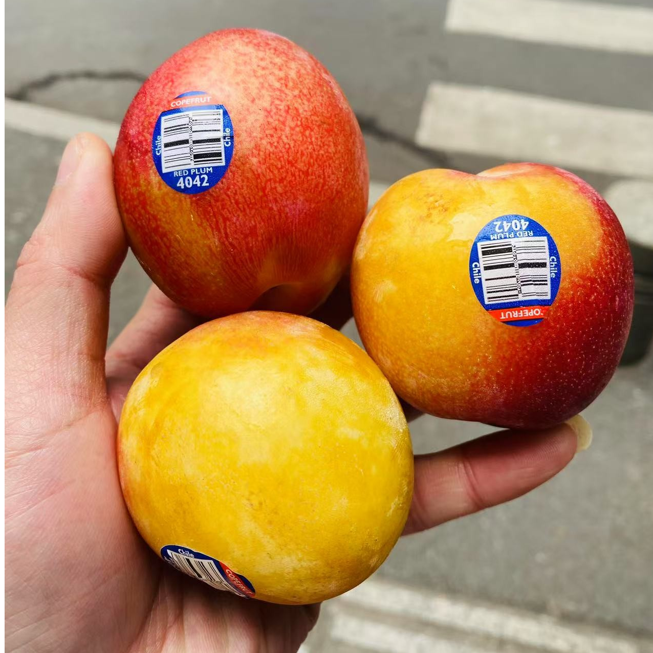 智利珠宝李散称2斤