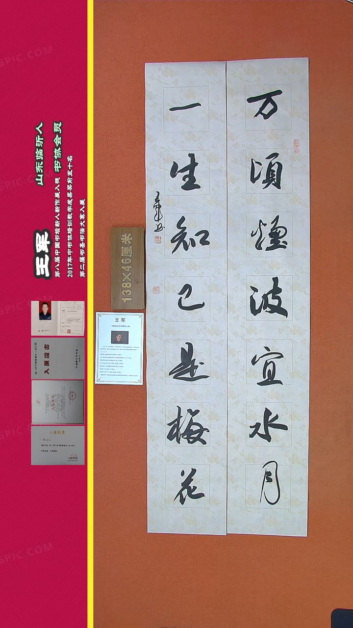 【闪购商品】书法306a王军书法作品