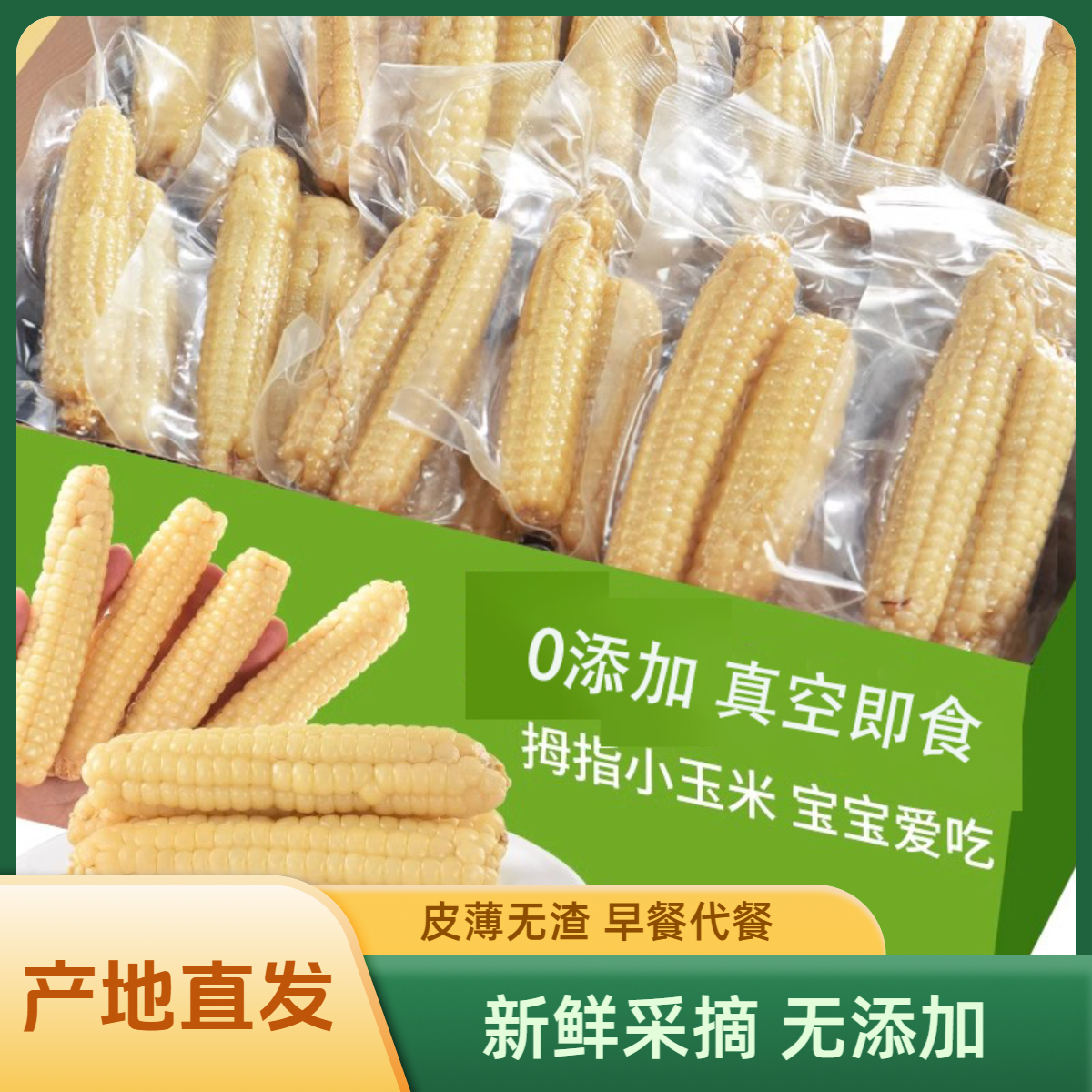 【精选饱满拇指玉米】版纳特产傣家老品种新鲜软糯清甜老少皆宜鲜香