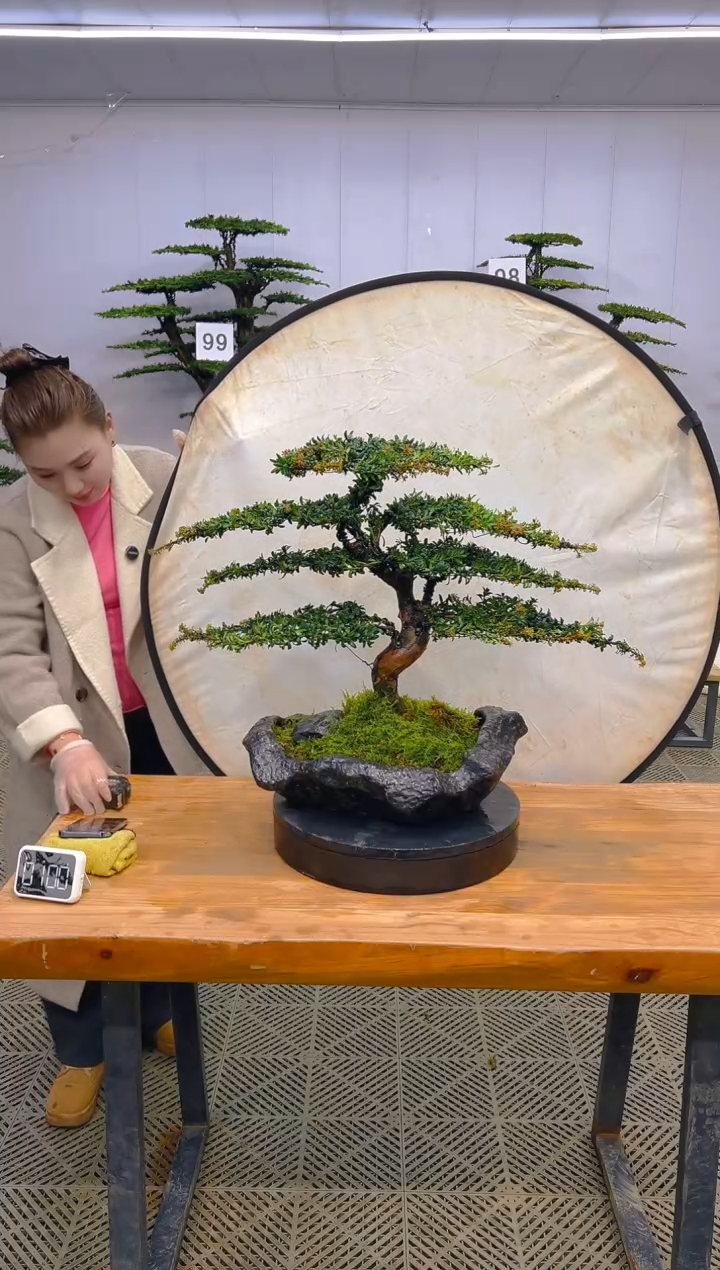 无花朵一物一拍一物一拍