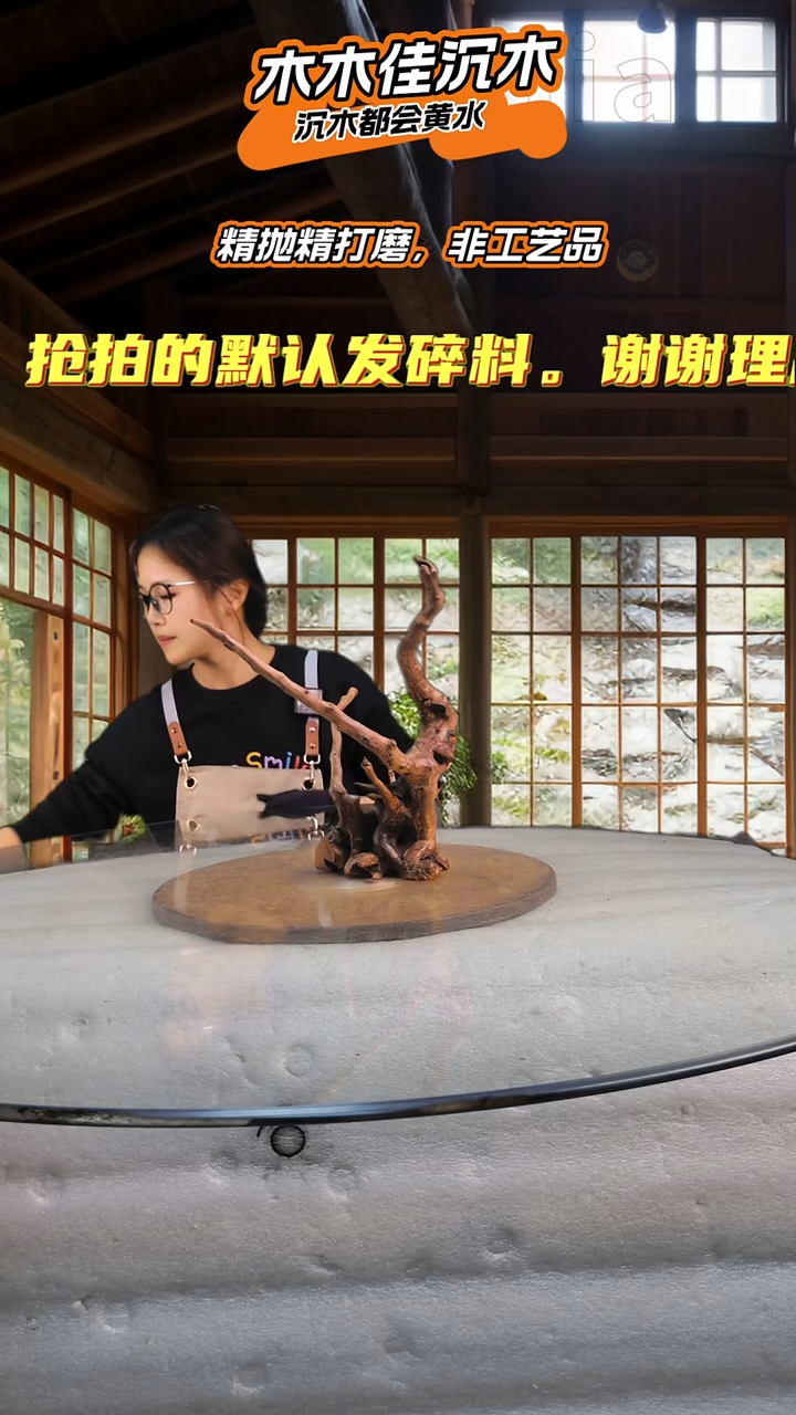 快*木木佳沉木鱼缸造景705