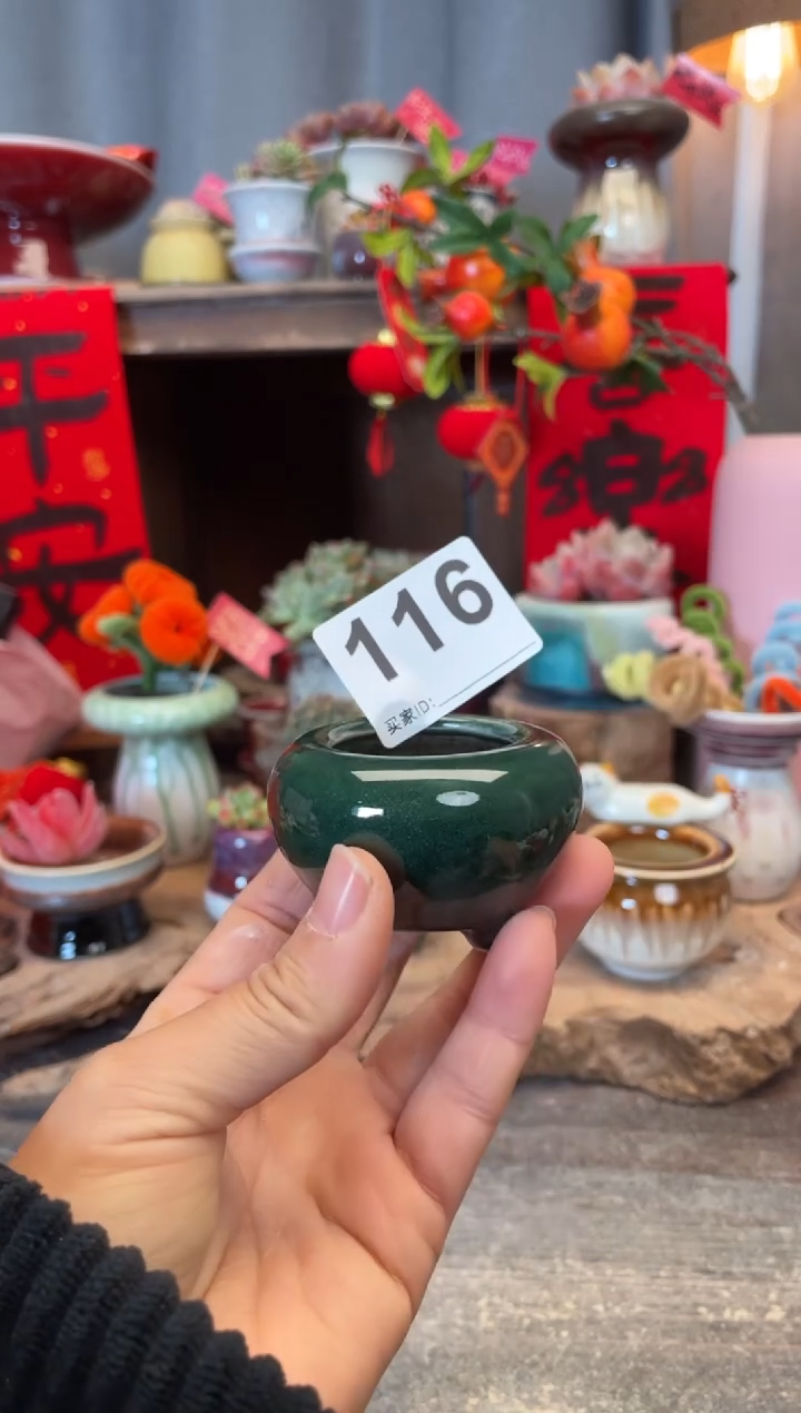【闪购商品】摆件116知木小芳花盆