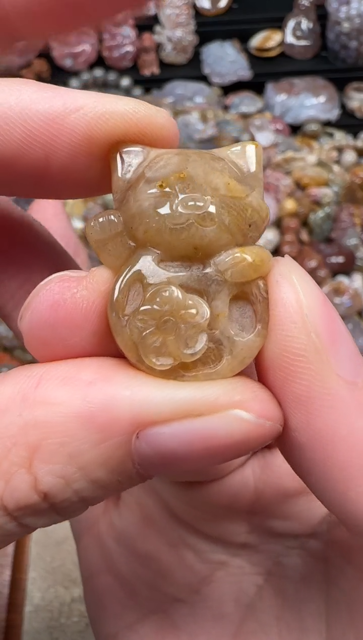 颈饰未镶嵌硅化珊瑚（珊瑚玉）819