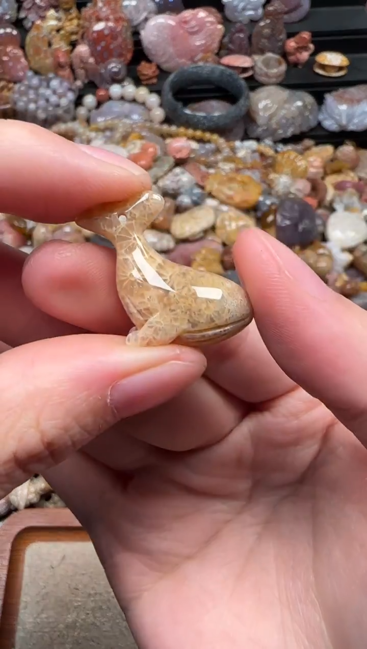 颈饰未镶嵌硅化珊瑚（珊瑚玉）270