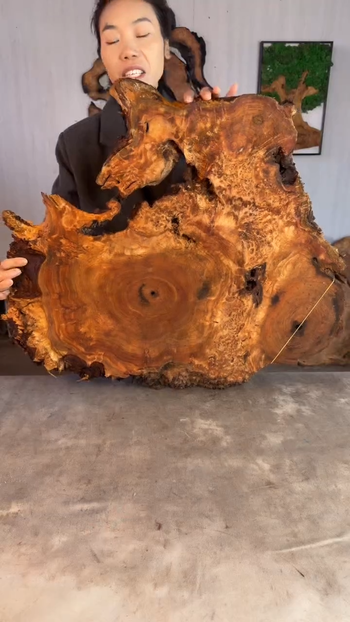 香杉木木头款杉木瘤挂件【原料】001