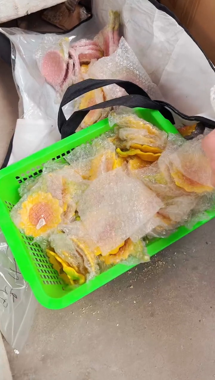 可爱食盆3个装随机