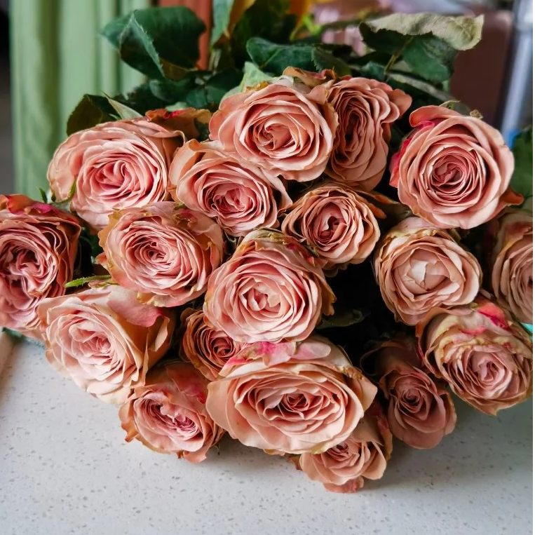 【卡布奇诺玫瑰10支】云南基地直发新鲜鲜花任意两件包邮送货上门