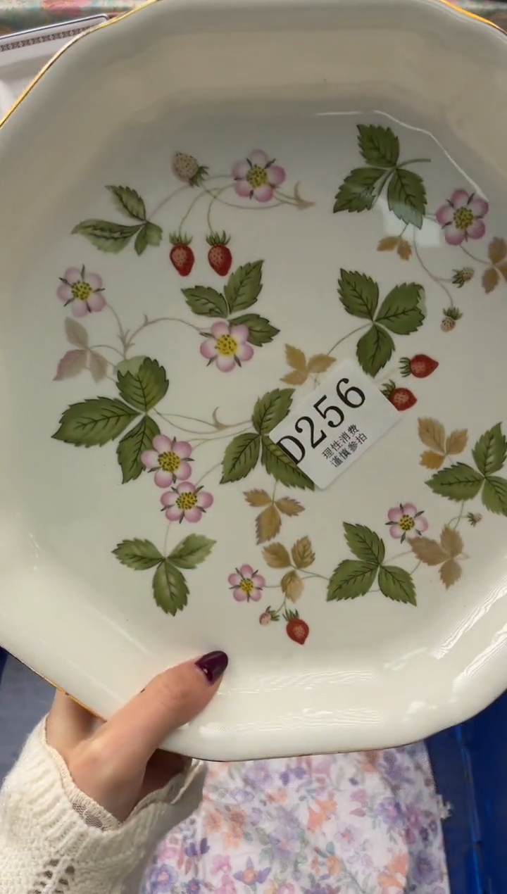 瓷片肉**?       D256