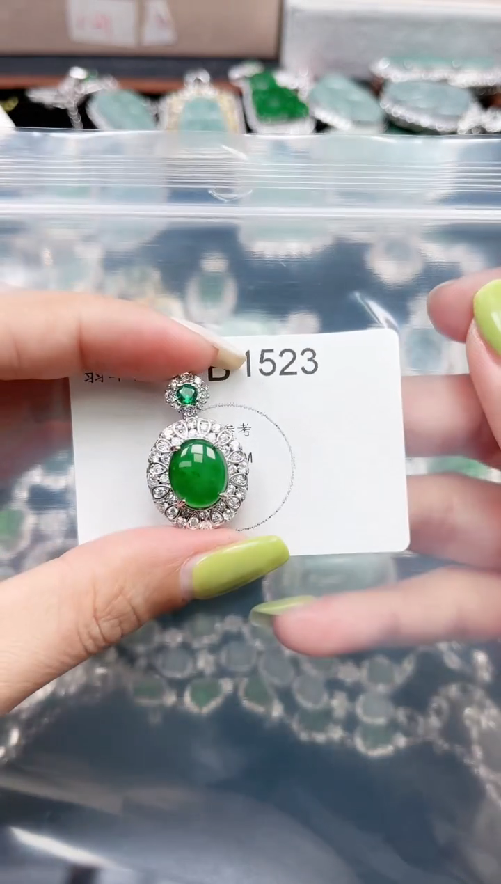 【闪购商品】翡翠颈饰未镶嵌赠皮绳1523
