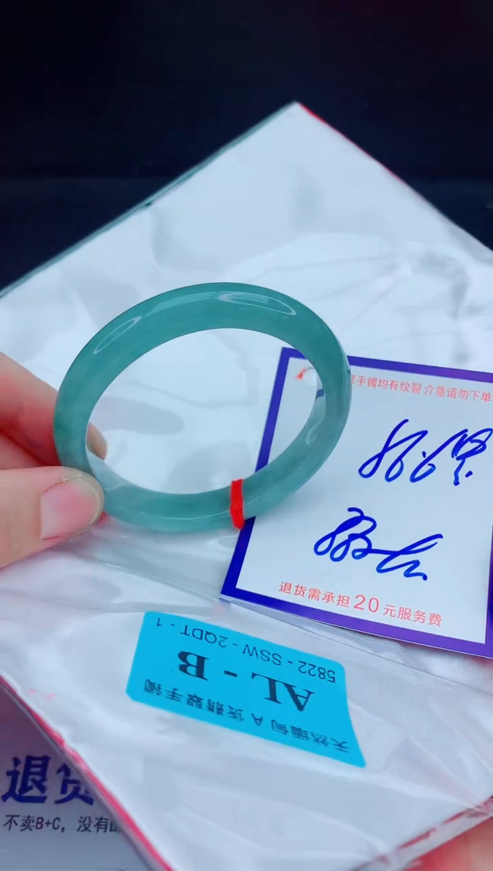 未镶嵌手镯翡翠111111111111