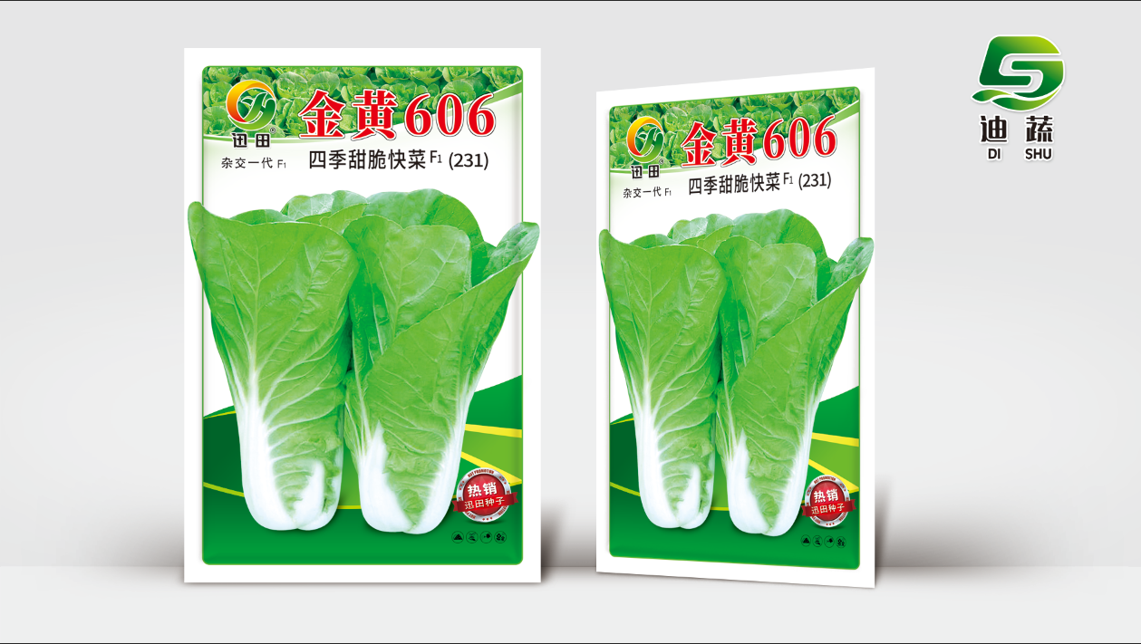 金黄606四季25天速生快菜种子四季奶油小白菜鲜嫩高产耐热耐寒