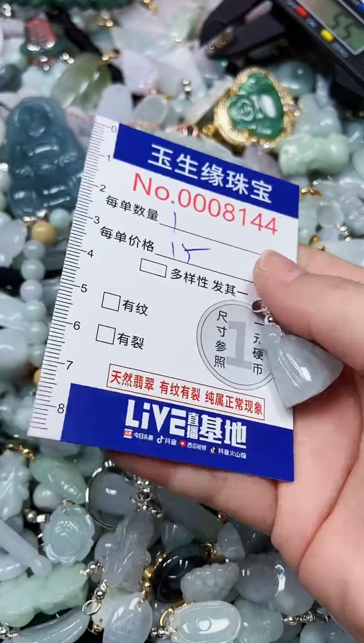 【闪购商品】翡翠颈饰未镶嵌闪购00008144