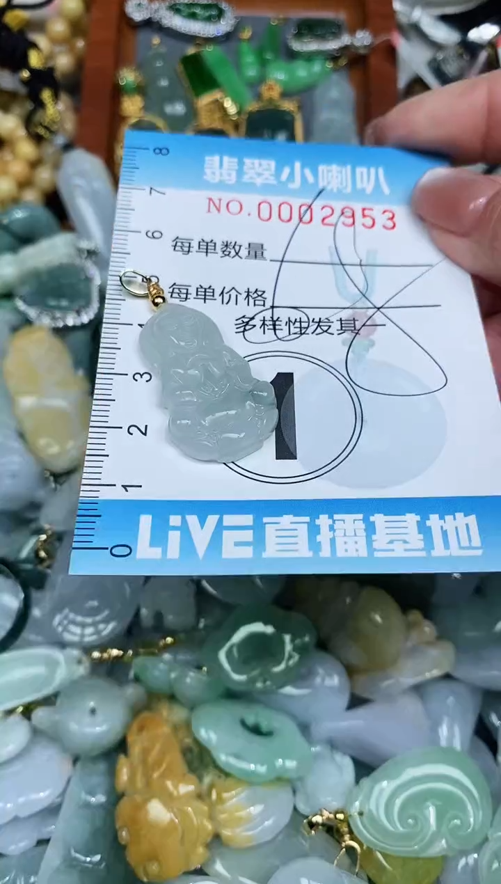 【闪购商品】翡翠颈饰未镶嵌闪购0002953多样性发其一