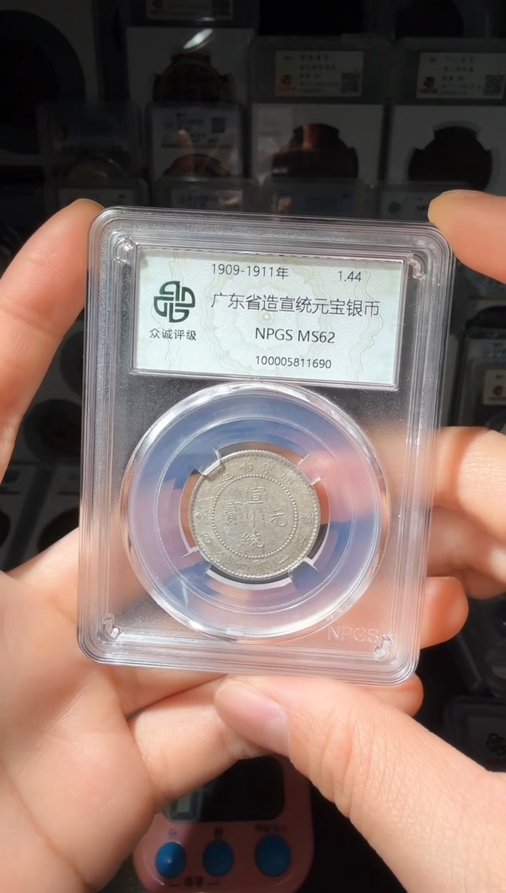 【闪购商品】银宣统小龙一个小师妹30