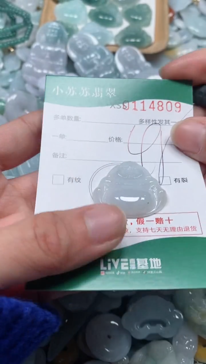 【闪购商品】翡翠颈饰未镶嵌闪购商品0114809