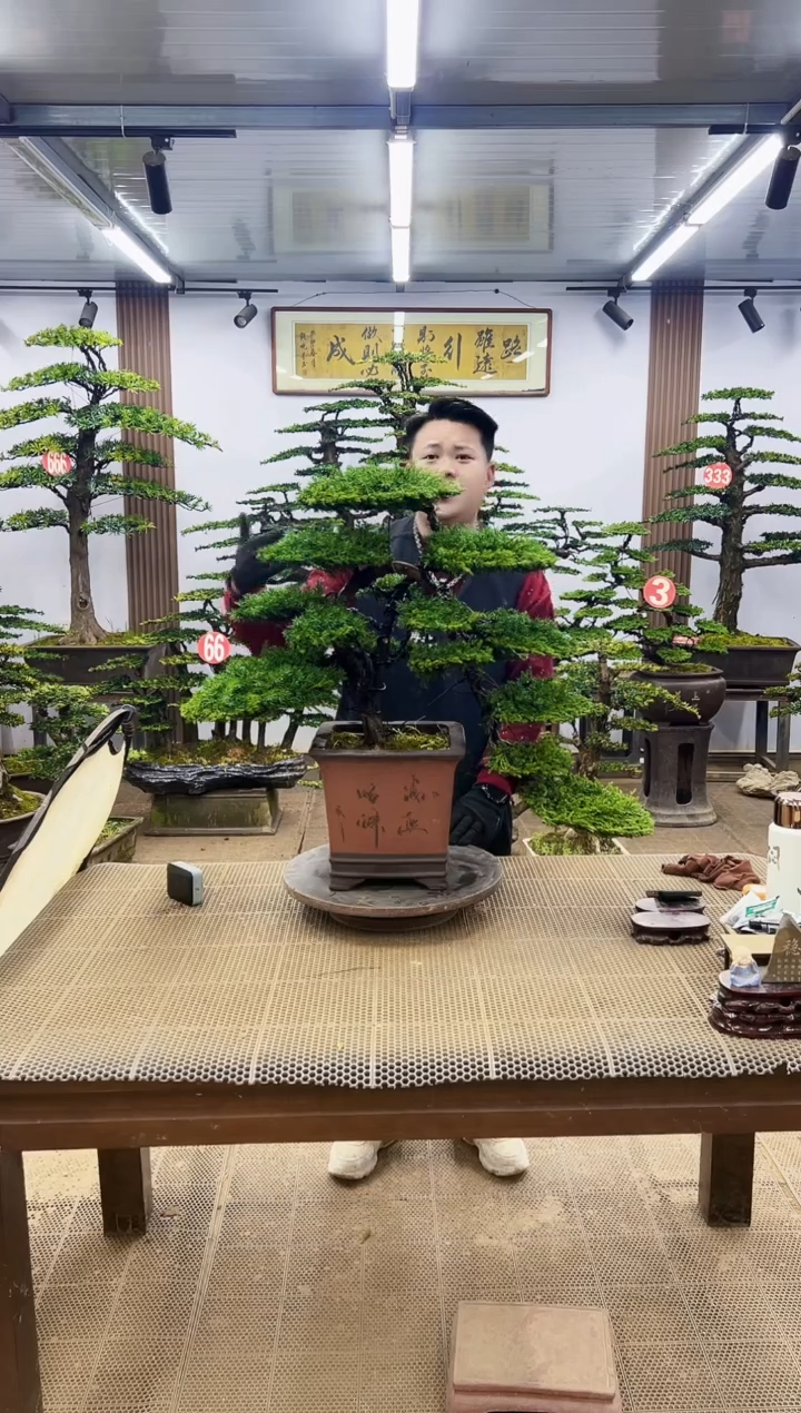 【闪购商品】00000000000