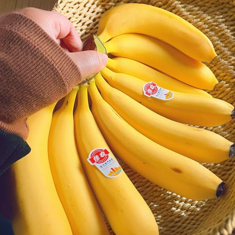 佳农香蕉（约400-500g）